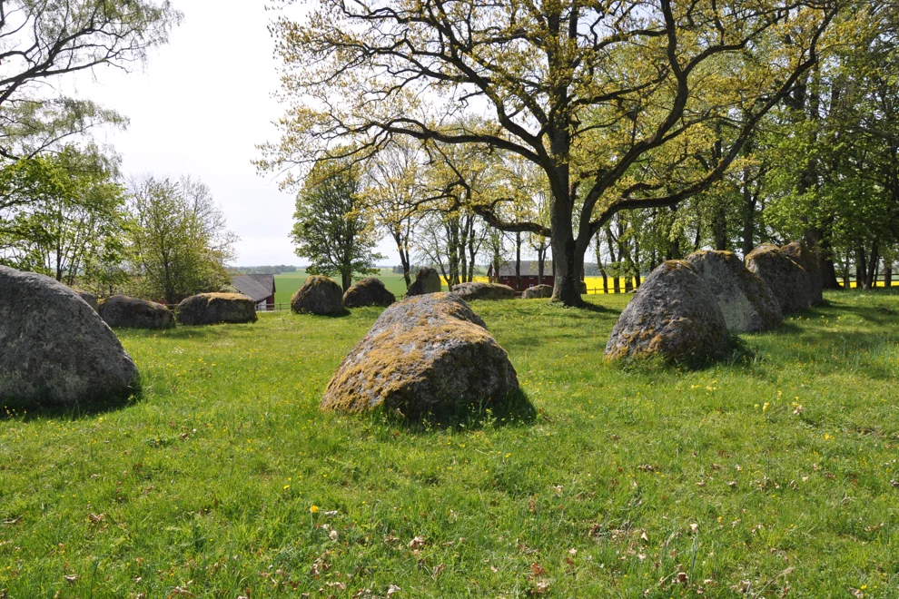 Domarringen i Nässja