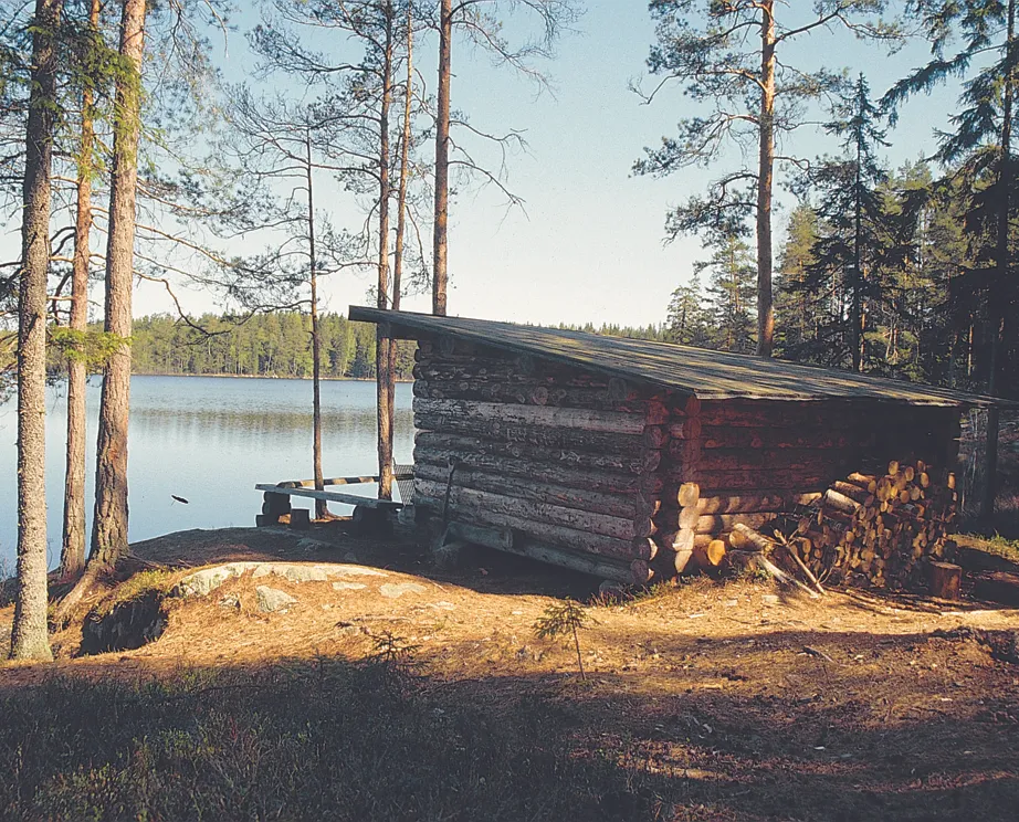 vindskydd i trä bland tallar vid en sjö